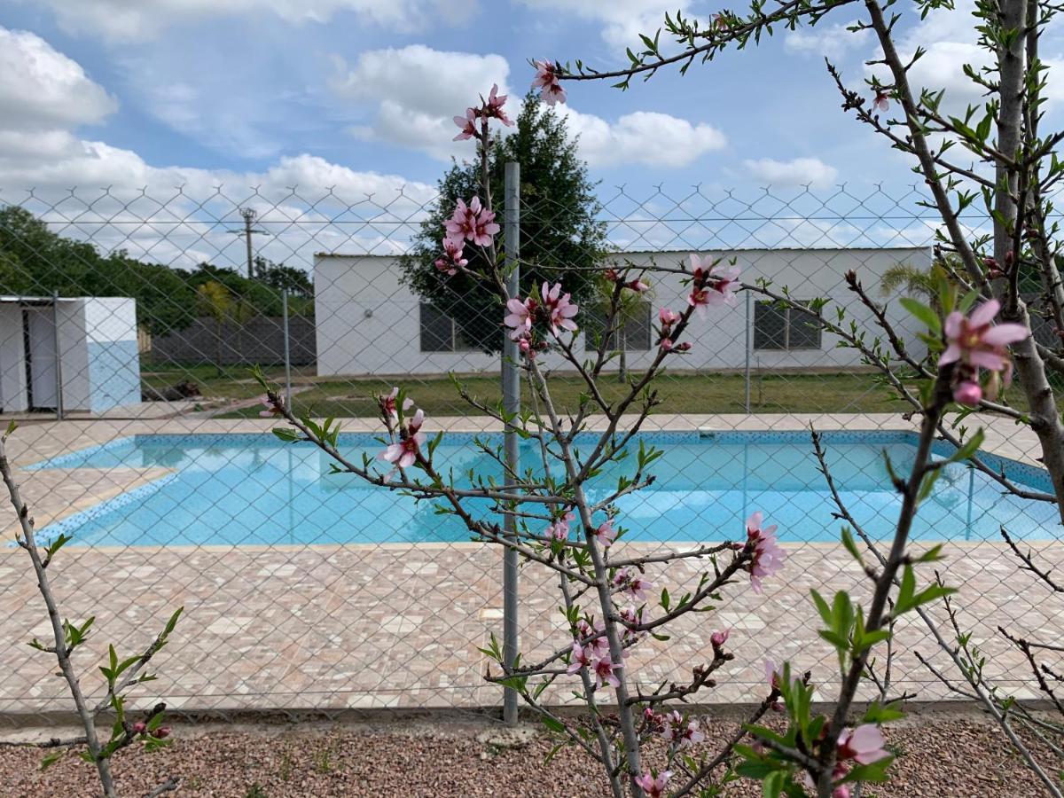 Palm Grove Farm Villa Tit Mellil Dış mekan fotoğraf