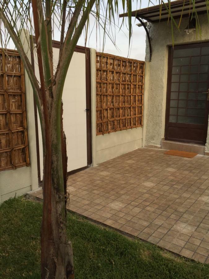 Palm Grove Farm Villa Tit Mellil Dış mekan fotoğraf