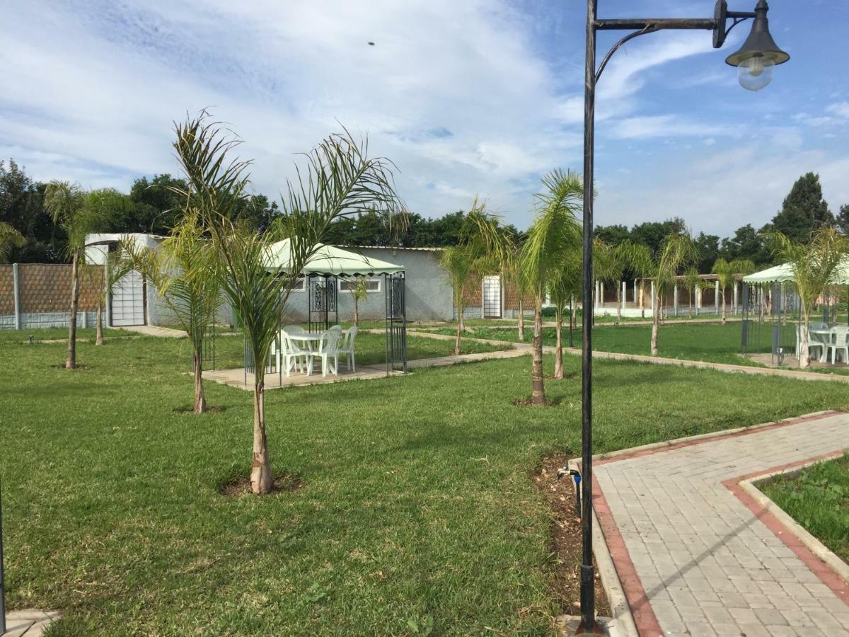 Palm Grove Farm Villa Tit Mellil Dış mekan fotoğraf